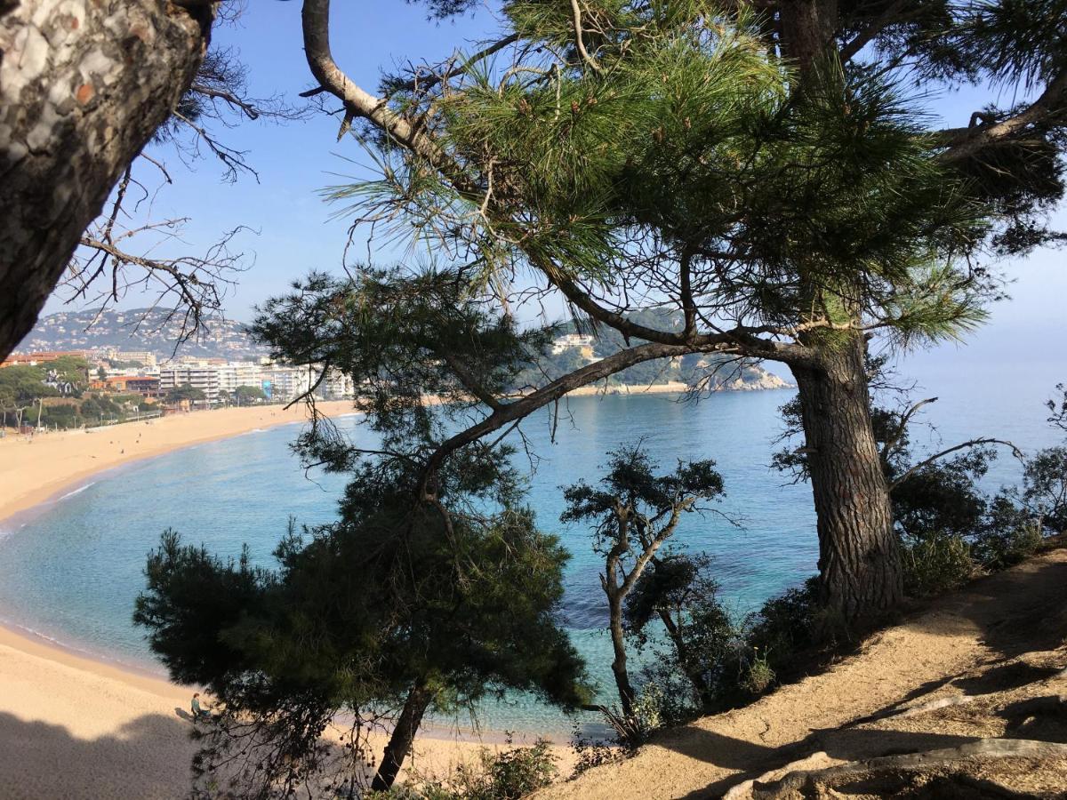 Vivalidays Kaylo - Fenals - Apartment Lloret de Mar